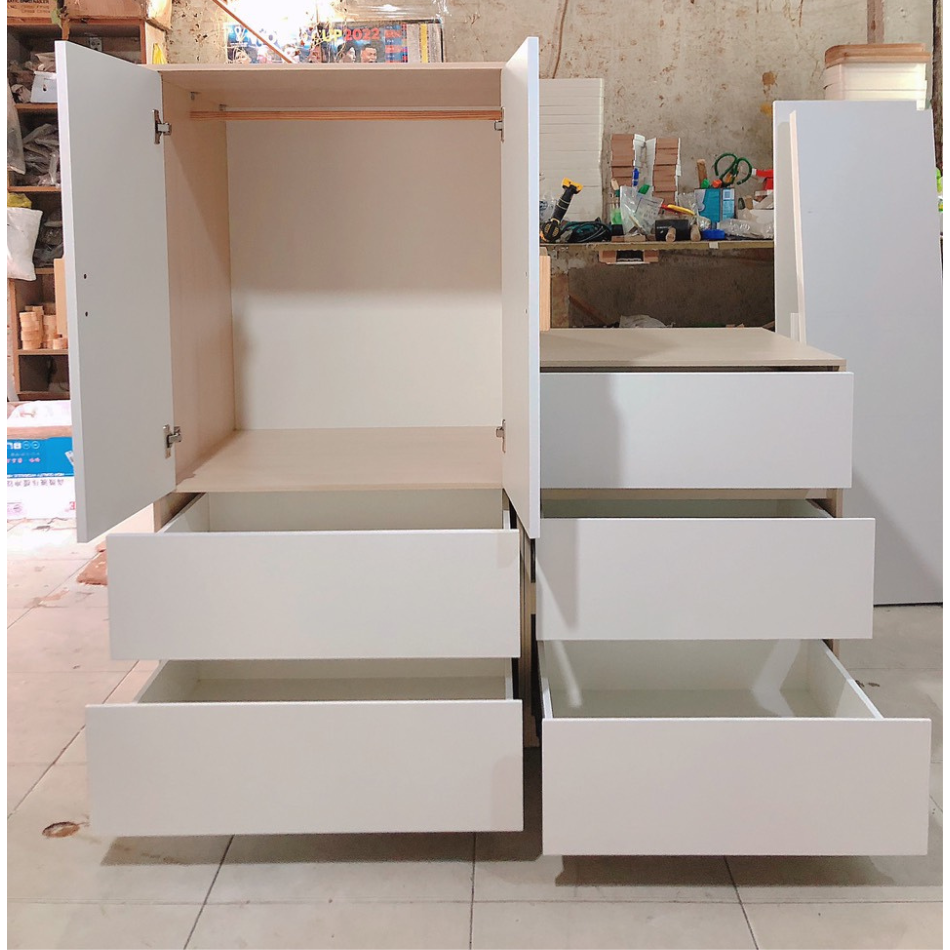 hình phản hồi T12
